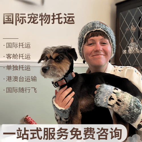 张掖市国际宠物托运到阿根廷宠物入境规定和要