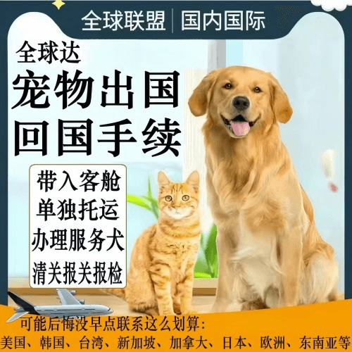 张掖市宠物托运到柬埔寨宠物入境规定和要求