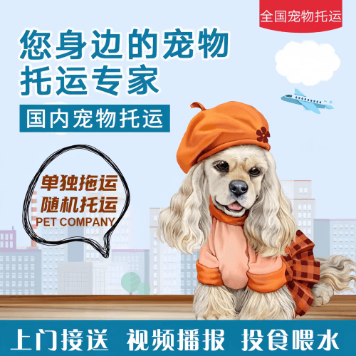 满财张掖市宠物全球达宠物托运作为专业的宠物运输代理机构